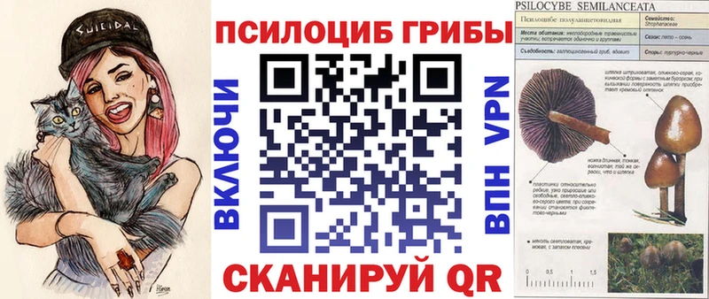 Купить закладки  Ершов  Галлюциногенные грибы MAGIC MUSHROOMS 
